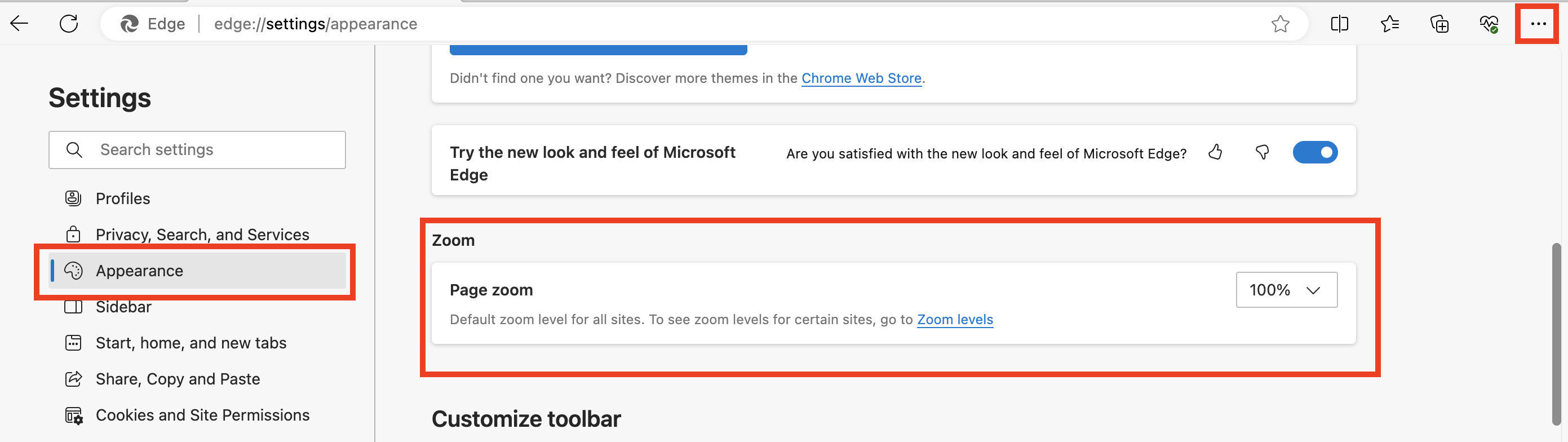 The Appearance settings menu is expanded to reveal the page zoom options, which is set at 100%.