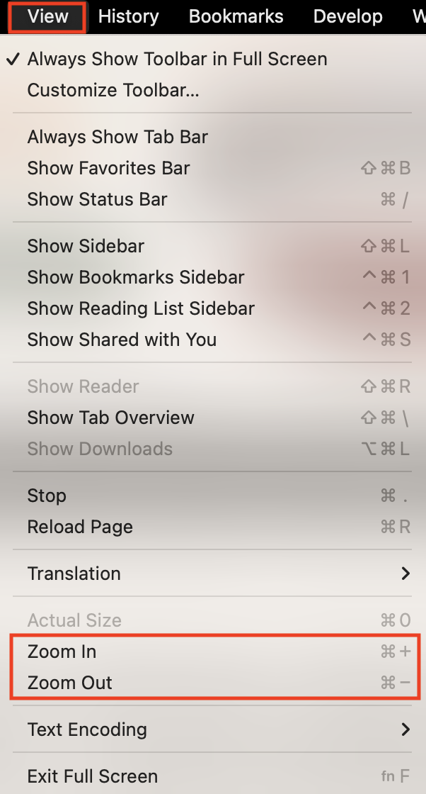 The View menu is expanded to reveal the Zoom in and Zoom out options.